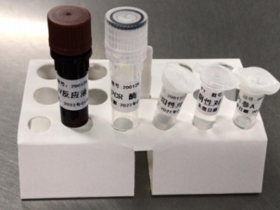 Kit de détection d'acide nucléique nCoV 2019