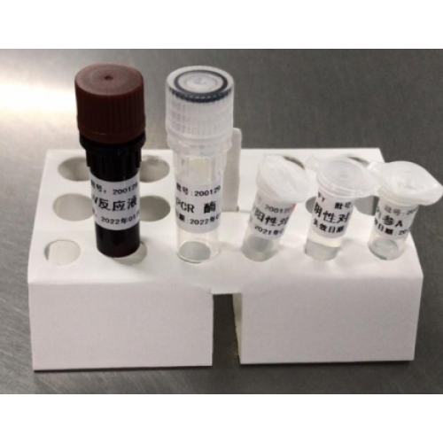 Kit de detección de ácido nucleico 2019-nCoV