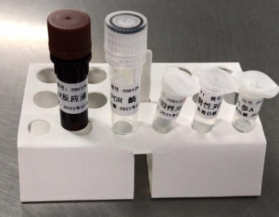 Kit de detección de ácido nucleico 2019-nCoV