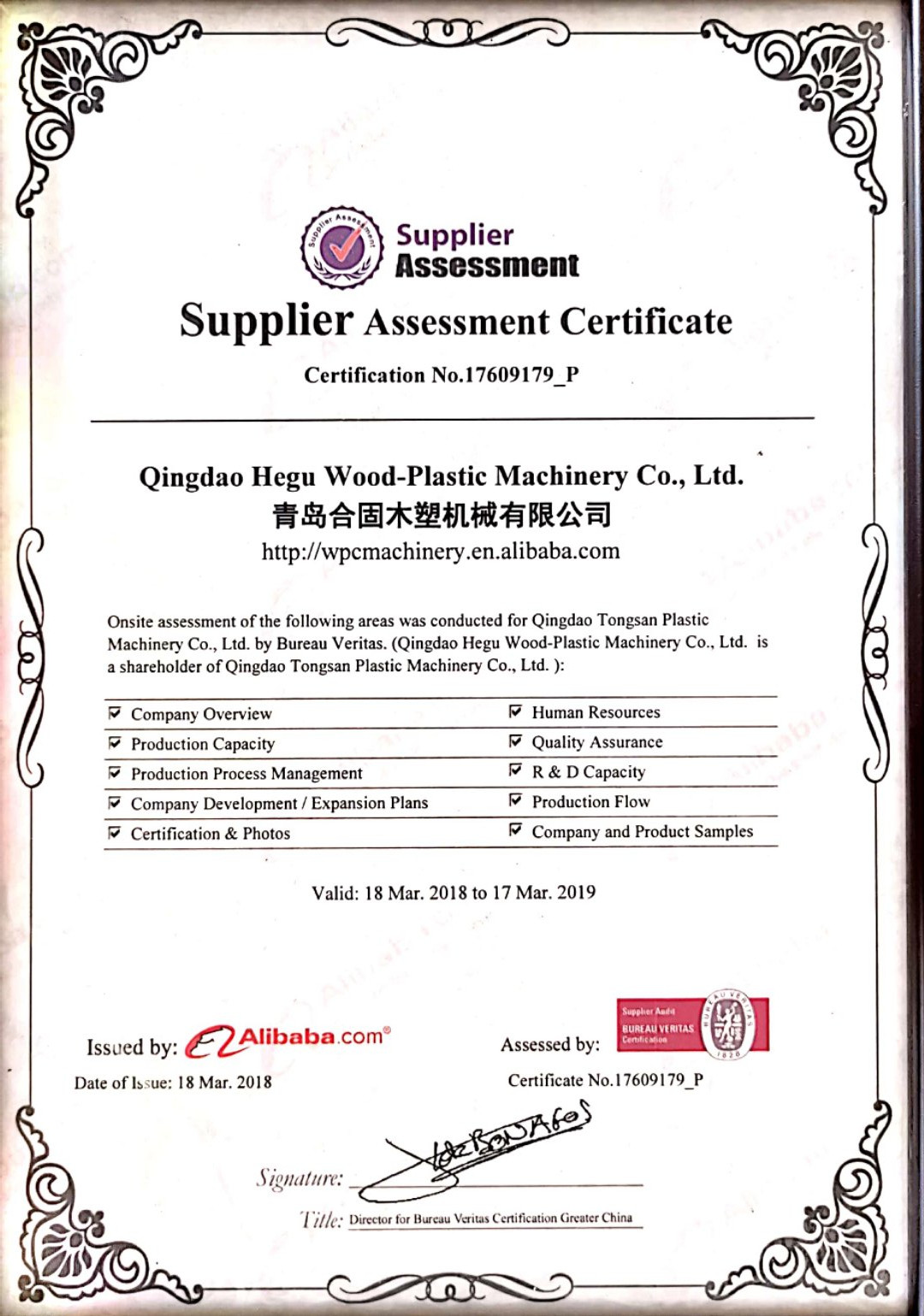 Supplier Assessment Certificate by Alibaba