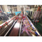 Wood Plastic WPC decking profile production machine project PP PE WPC profile Machine