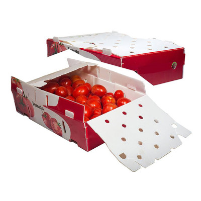 Waterproof reusable fruits packing and turnover PP Plastic Packing Box Manufacturing Machine