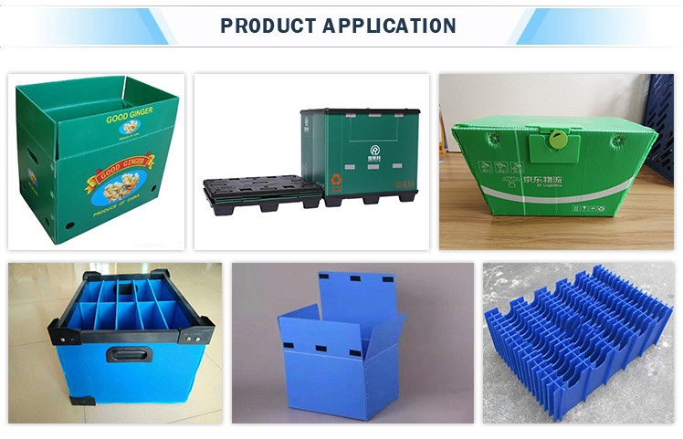 Tongsan PP box production line
