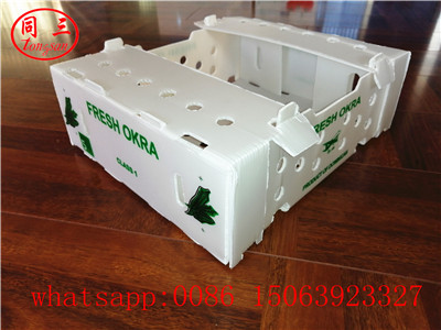pp hollow sheet vegetables  packing box
