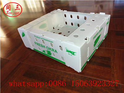 High quality  pp hollow sheet packing box