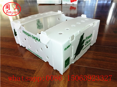 Plastic hollow corrugated box