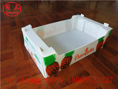 pp hollow sheet box