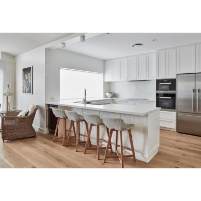 Solid wood kitchen cabinet manufacturers shaker cabinet options design with good quality