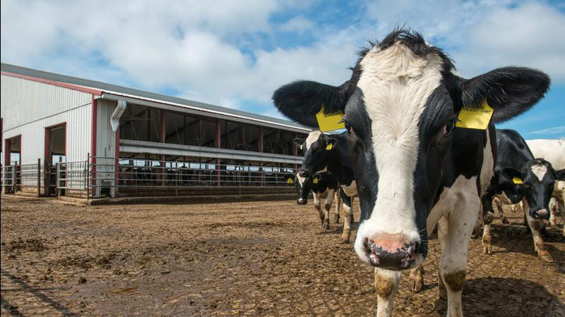 Accesorios para equipos agrícolas para ranchos