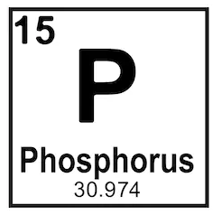 Phosphorus steel