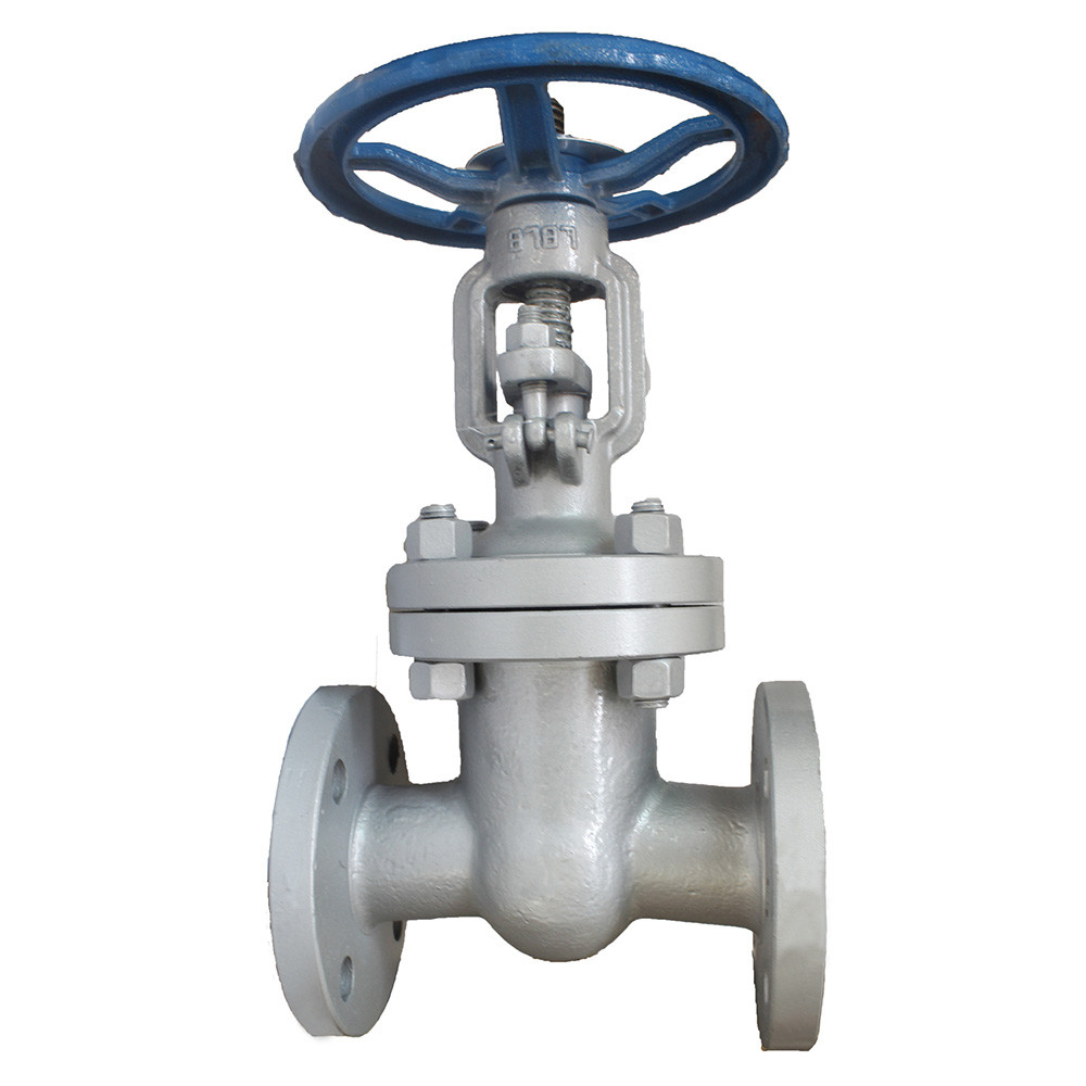 Cast Steel Valve