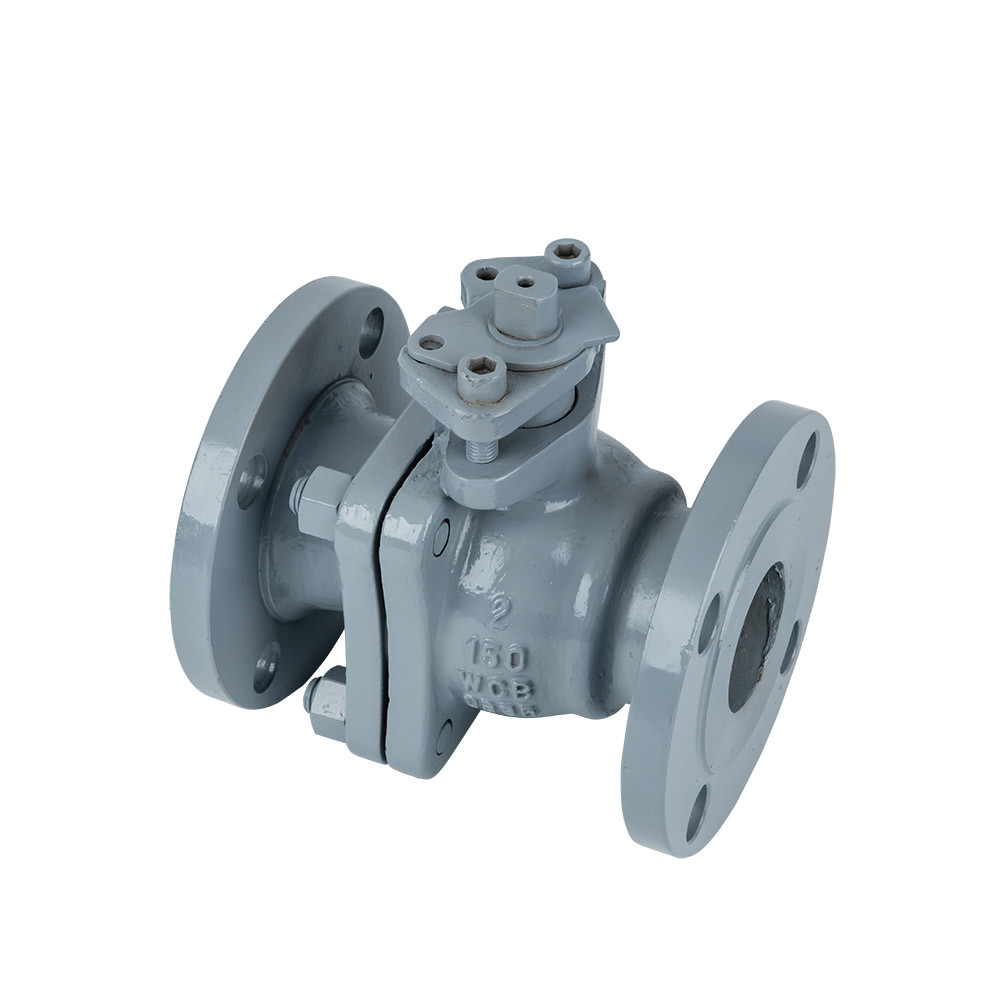 Cast Steel Valve