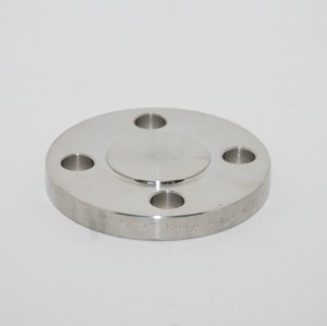 Blind Flanges (BL)