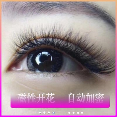 eyelashes extension Wholesale Classic Camellia Grafting eyelash extensions