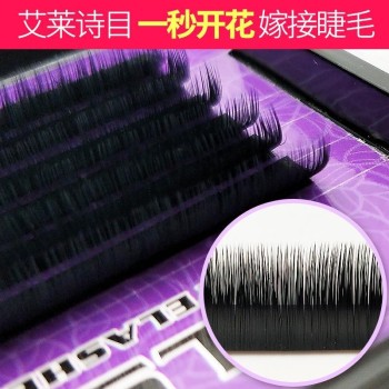 eyelashes extension Wholesale Classic Camellia Grafting eyelash extensions