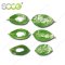 SOCO New Product Agricultural Drought Resistance Hydrogel SAP K For Grow Seedlings