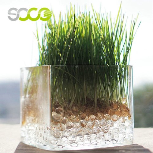 Non Toxic Water Retention Agent for Agricultural and Forestry Drought Resistance