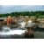 Super absorbent polymer for sewage treatment