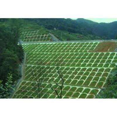 Application of water-retaining agent in slope greening and slope management