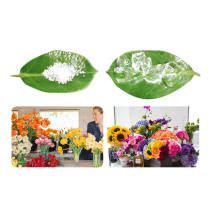 Super Absorbent Polymer For Transporting Cut Flowers