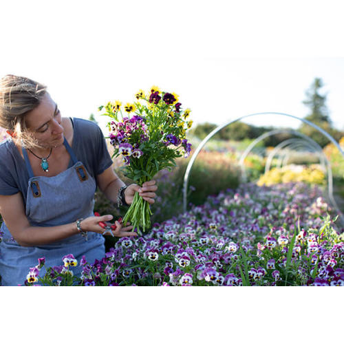 Super Absorbent Polymer For Transporting Cut Flowers
