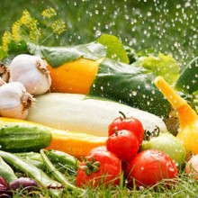 Application of Water Retention Agent in Fruit and Vegetable Fresh-keeping Packaging