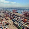 Tianjin Container Freight Index down 0.08%