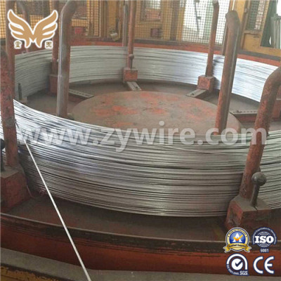 Chinese Factory Bwg 18 20 21 Galvanized Steel Wire -Zhongyou