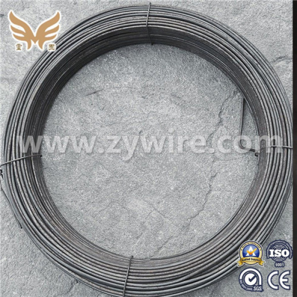 China Small Coil High Quality black annealed wire-Zhongyou