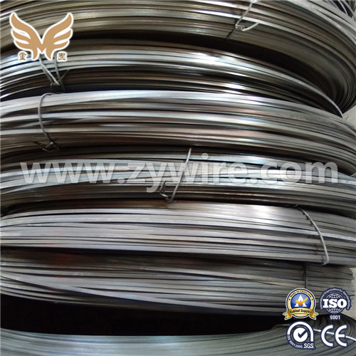 China supplier Cold Rolling Flat Steel Wire -Zhongyou