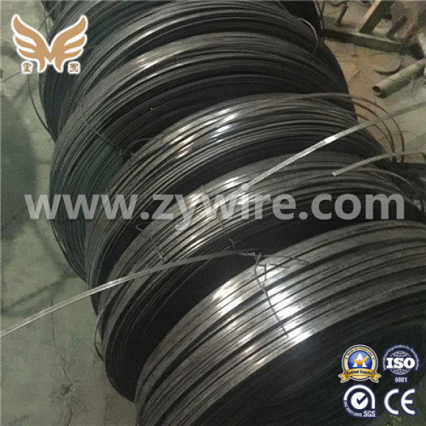 China supplier Cold Rolling Flat Steel Wire -Zhongyou