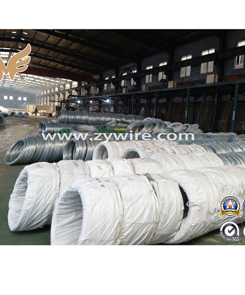 Chinese factory sale galvanized stay wire guy wire-Zhongyou