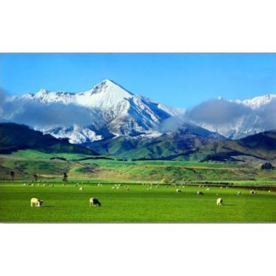 China makes positive contributions to the protection of global biodiversity