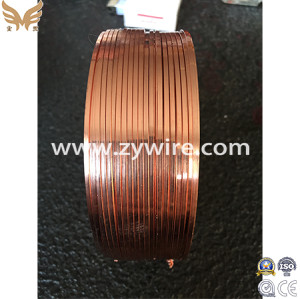 Chinese Brass Coated Flat Steel Wire-Zhongyou