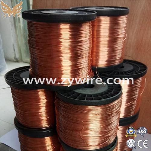 Chinese Brass Coated Steel Wire-Zhongyou