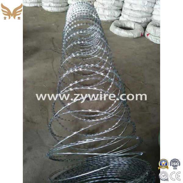 Galvanized PVC Coated Concertina Razor Wire/Barbed