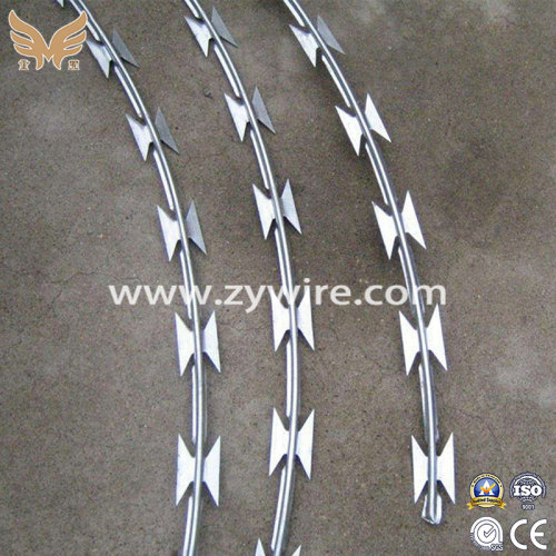 Galvanized PVC Coated Concertina Razor Wire/Barbed
