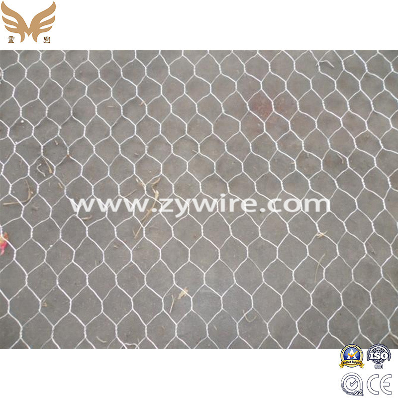 Galvanized Chicken Wire Mesh