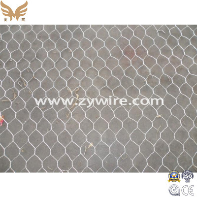Hexagonal Wire Mesh/Netting for Chicken Wire Galvanized