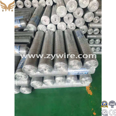 Hexagonal Wire Mesh/Netting for Chicken Wire Galvanized