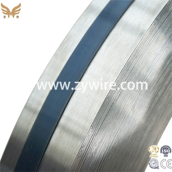 Made in China Steel Strip for Spiral Pipe