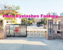 Qingdao Plato Eyelash Factory