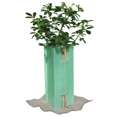 Customized plant protector  PP plastic triangle welding corflute tree guards