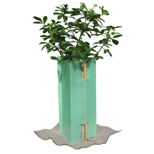 Customized plant protector PP plastic triangle welding corflute tree guards