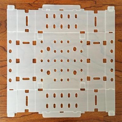 PP Plastic stackable packaging boxes corrugated coroplast boxes for fruit and vegetable