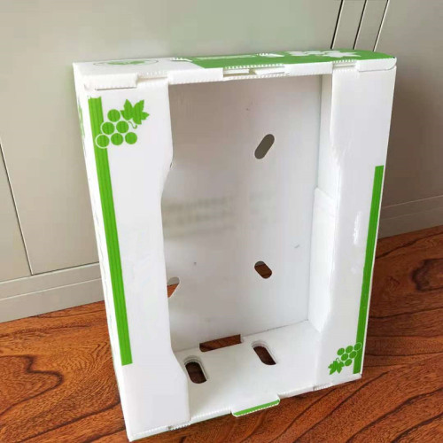 PP foldable and recyclable corrugated danpla box for vegetable and fruit