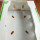 PP foldable and recyclable corrugated danpla box for vegetable and fruit