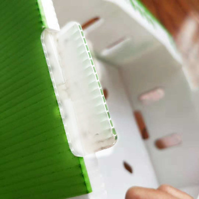 PP foldable and recyclable corrugated danpla box for vegetable and fruit