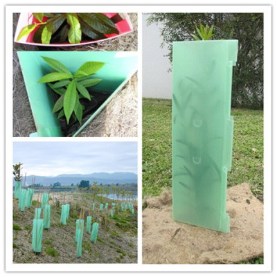 Outdoor use UV resistance PP corflute tree shelters