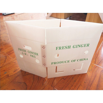 Foldable Coroplast storage box corrugated plastic turnover box